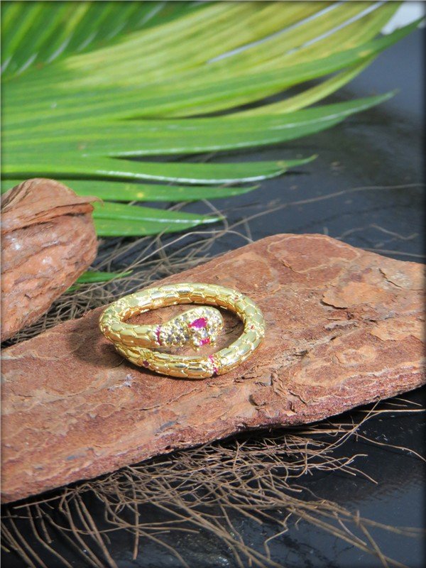 ANEL REGULAGEM C/ ZIRCONIA