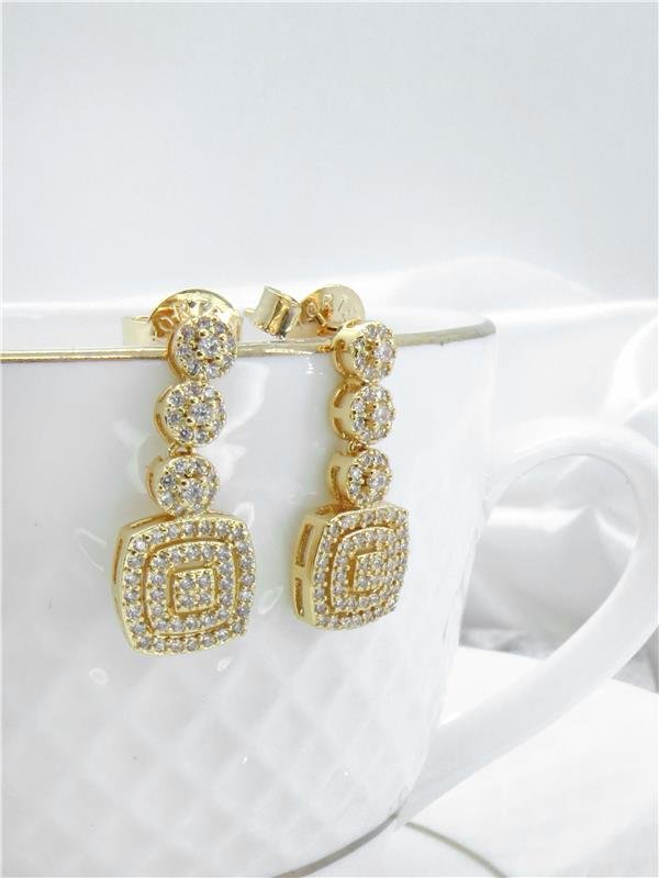 BRINCOS COM ZIRCONIA